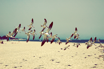Teaser_tumblr_kply77dokw1qzelw6o1_500