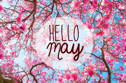 Teaser_tumblr_mm4ohaluup1qzan80o1_500