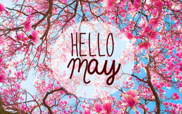 Thumb_tumblr_mm4ohaluup1qzan80o1_500