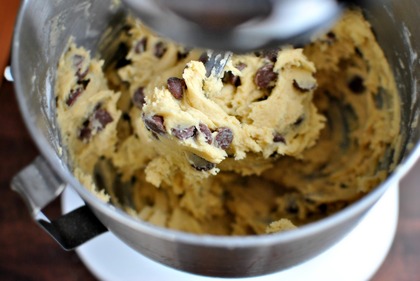 Teaser_chocolate-chip-sprinkle-cookies-l-www.simplyscratch.com-cookie-dough