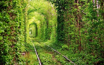 Thumb_the-tunnel-of-trees
