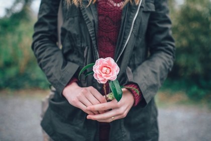 Teaser_pexels-photo-large