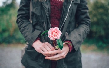 Thumb_pexels-photo-large