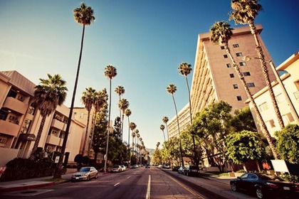 Teaser_tumblr_static_palm-streets-of-beverly-hills-in-hollywood-usa-1600x1066