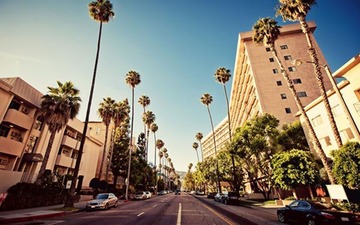 Thumb_tumblr_static_palm-streets-of-beverly-hills-in-hollywood-usa-1600x1066