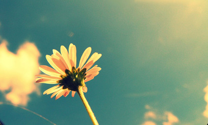 Teaser_summer1