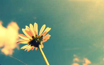 Thumb_summer1