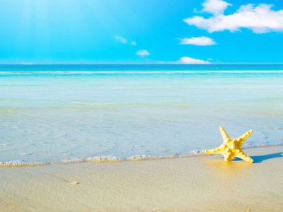 Teaser_beach_web