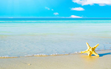 Thumb_beach_web