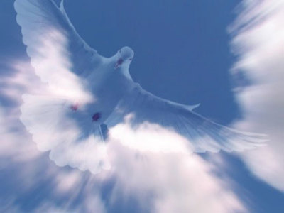 Teaser_holyspiritmotion2_web