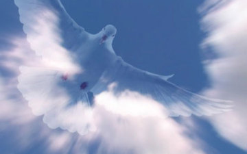 Thumb_holyspiritmotion2_web